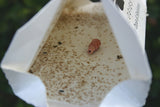 Citrus Leafminer Starter Kit - ISCA Technologies
 - 1