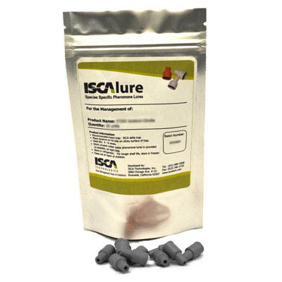 Egyptian Cotton Leafworm - IT067 - ISCA Technologies
