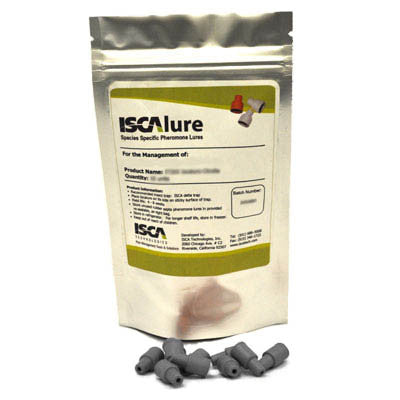 Oriental Fruit Moth - IT034 - ISCA Technologies
